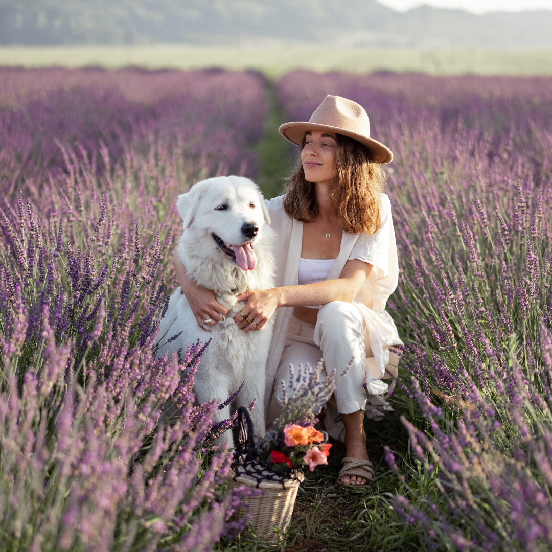 flower dog photoshoot