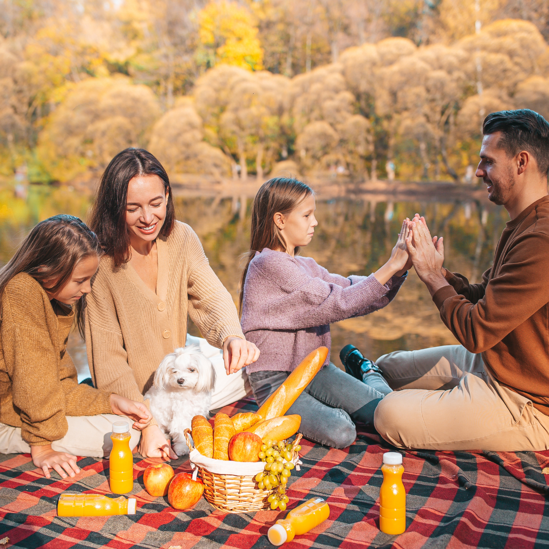 fall family photo outfits