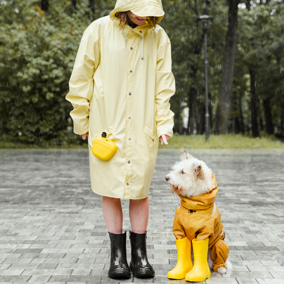 cute fall photoshoot outfits