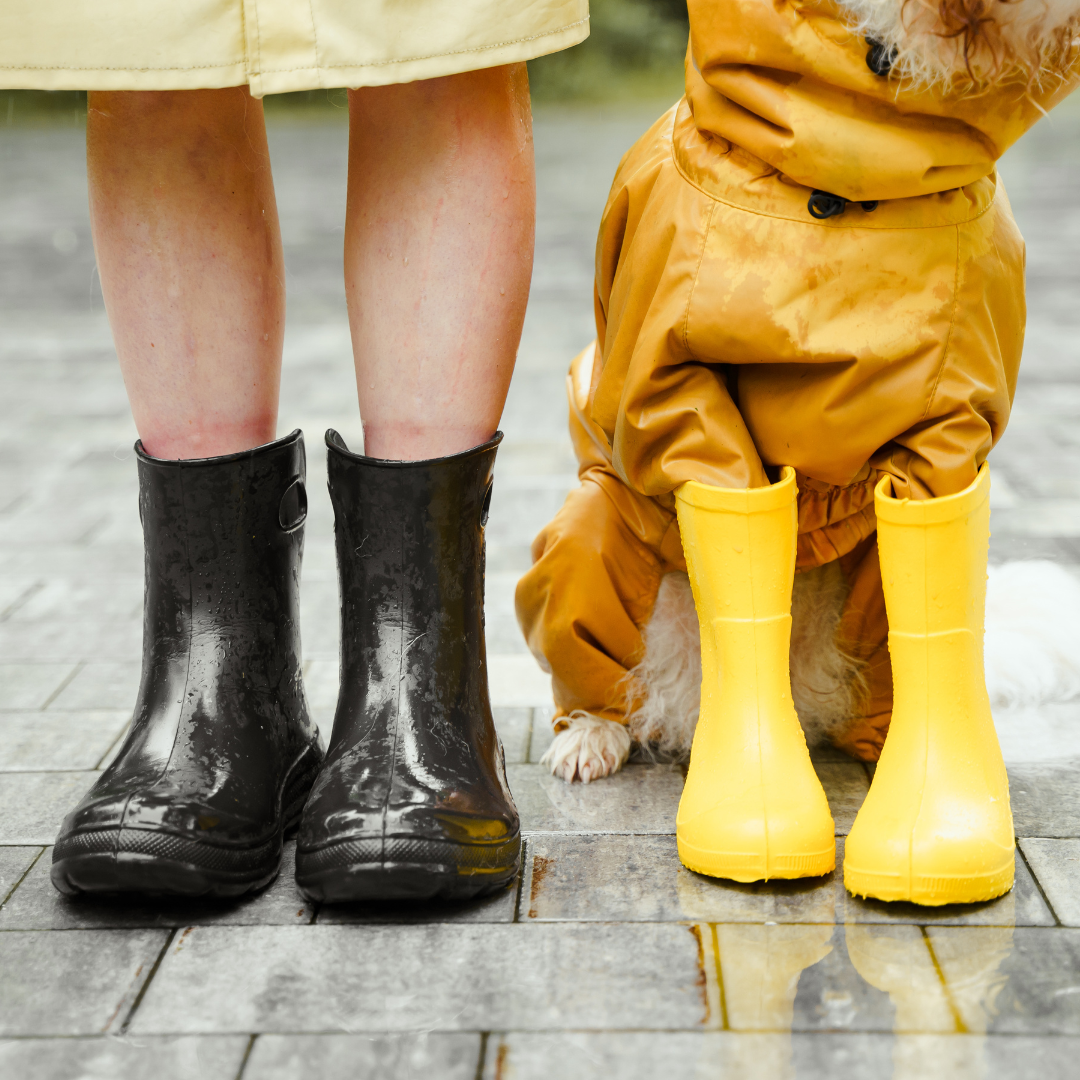 cute fall photoshoot outfits