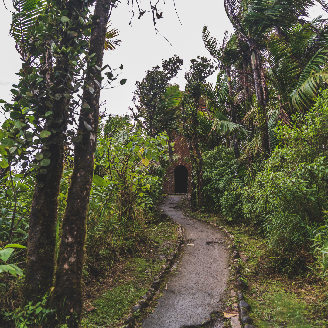 Photographer in Puerto Rico