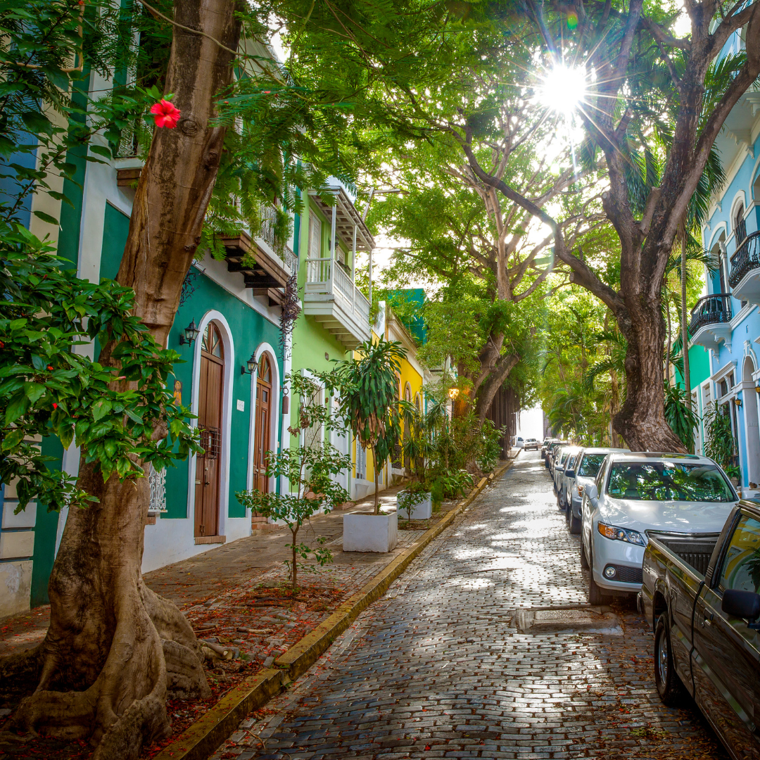 Photographer in Puerto Rico