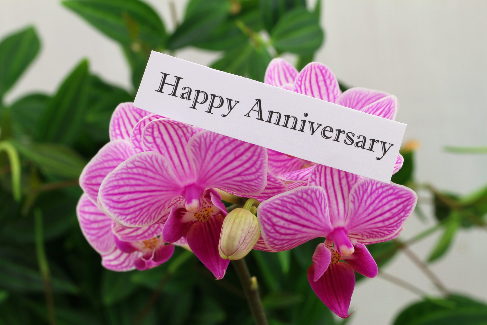 anniversary gift for parents