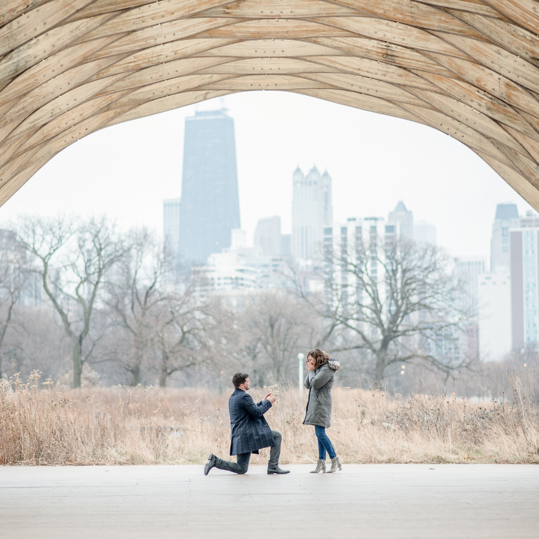 best places to propose in chicago