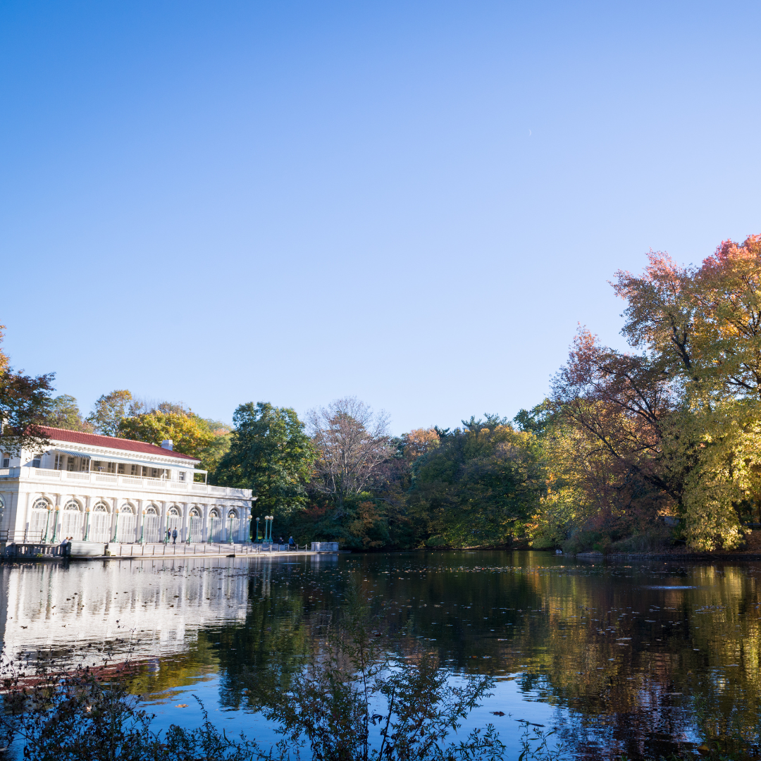 best places to propose in nyc