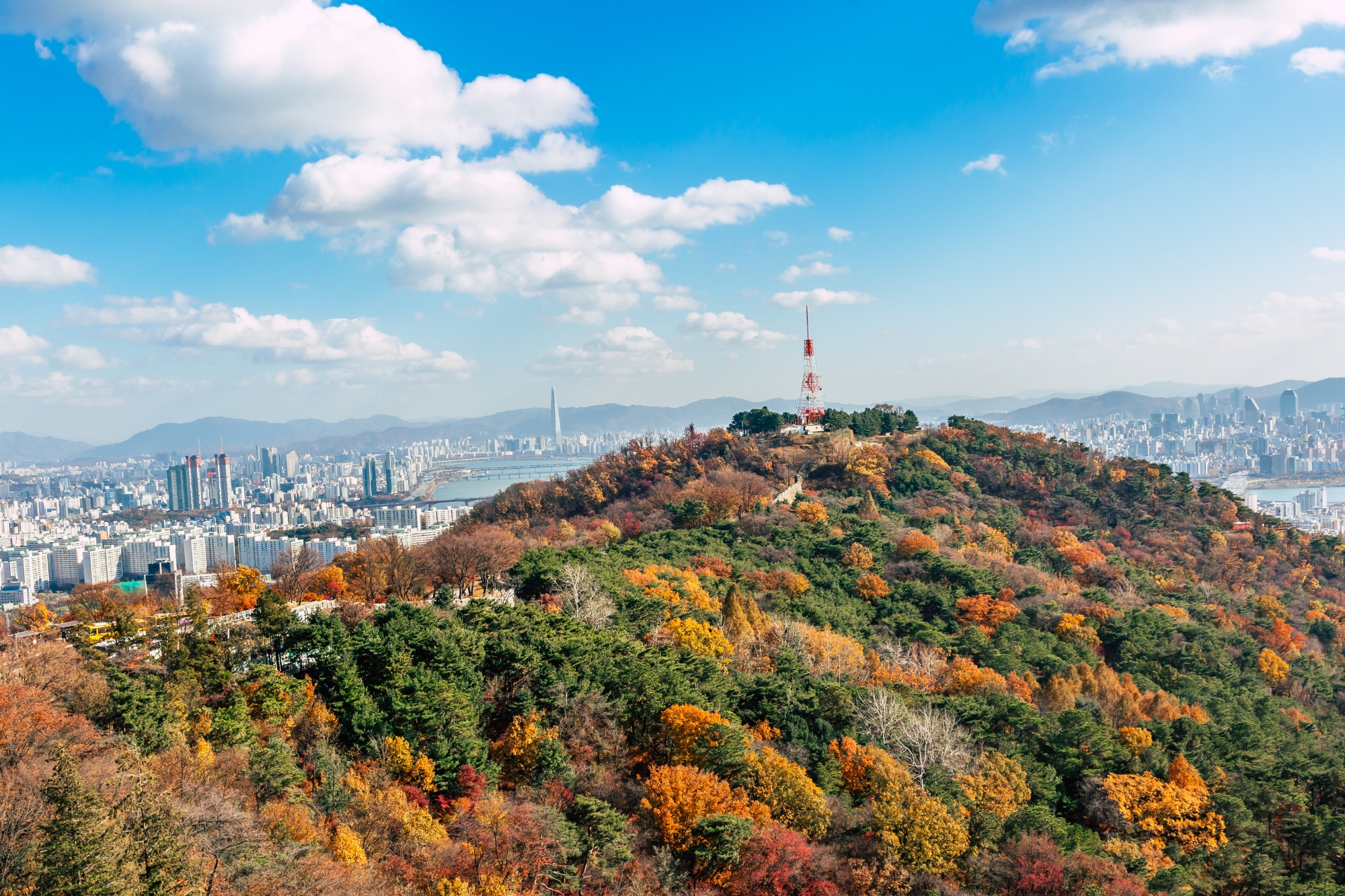 fall in seoul, korea