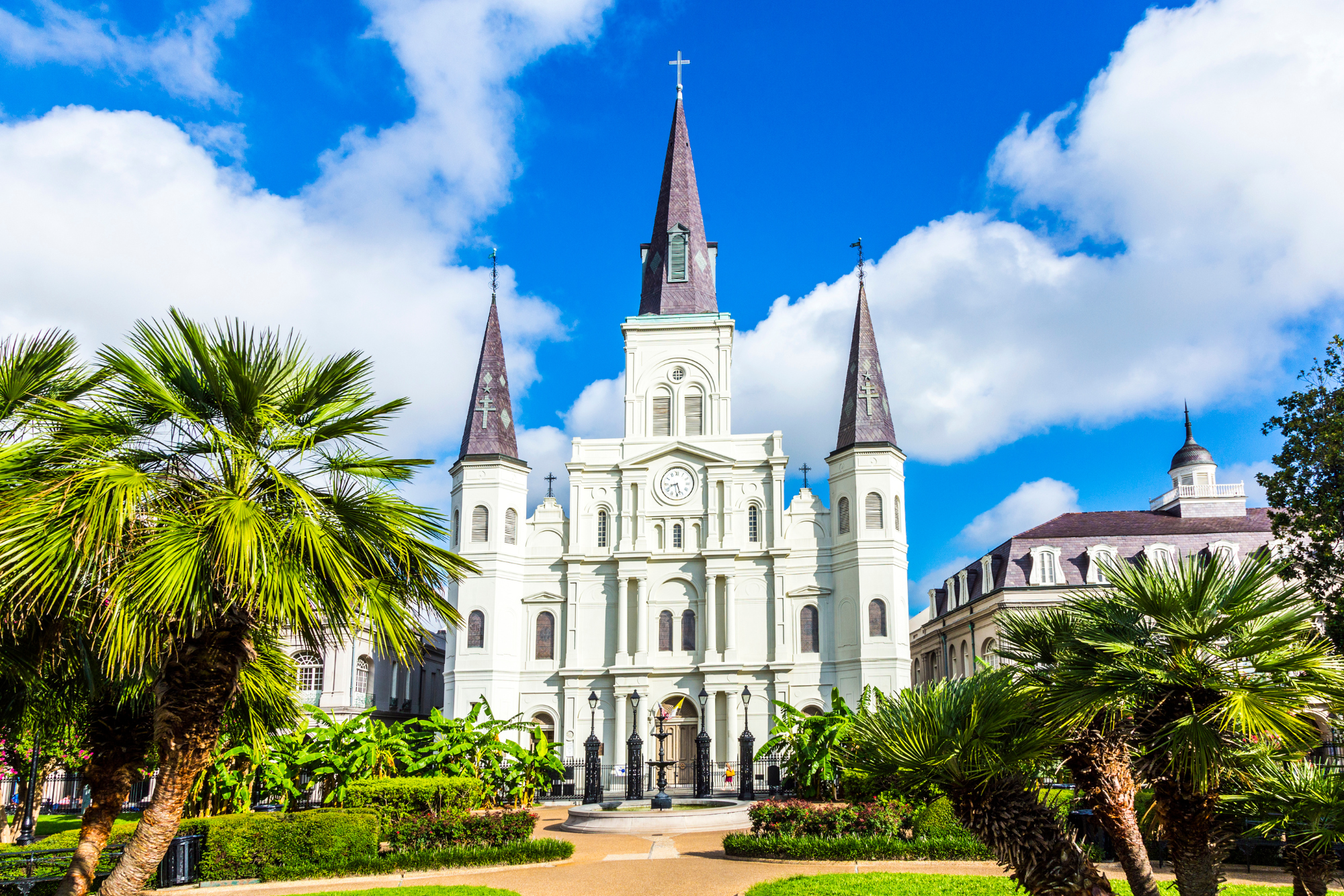 new orleans photography