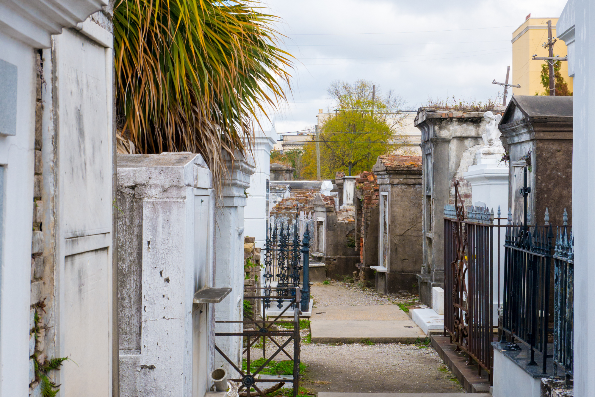 new orleans photography