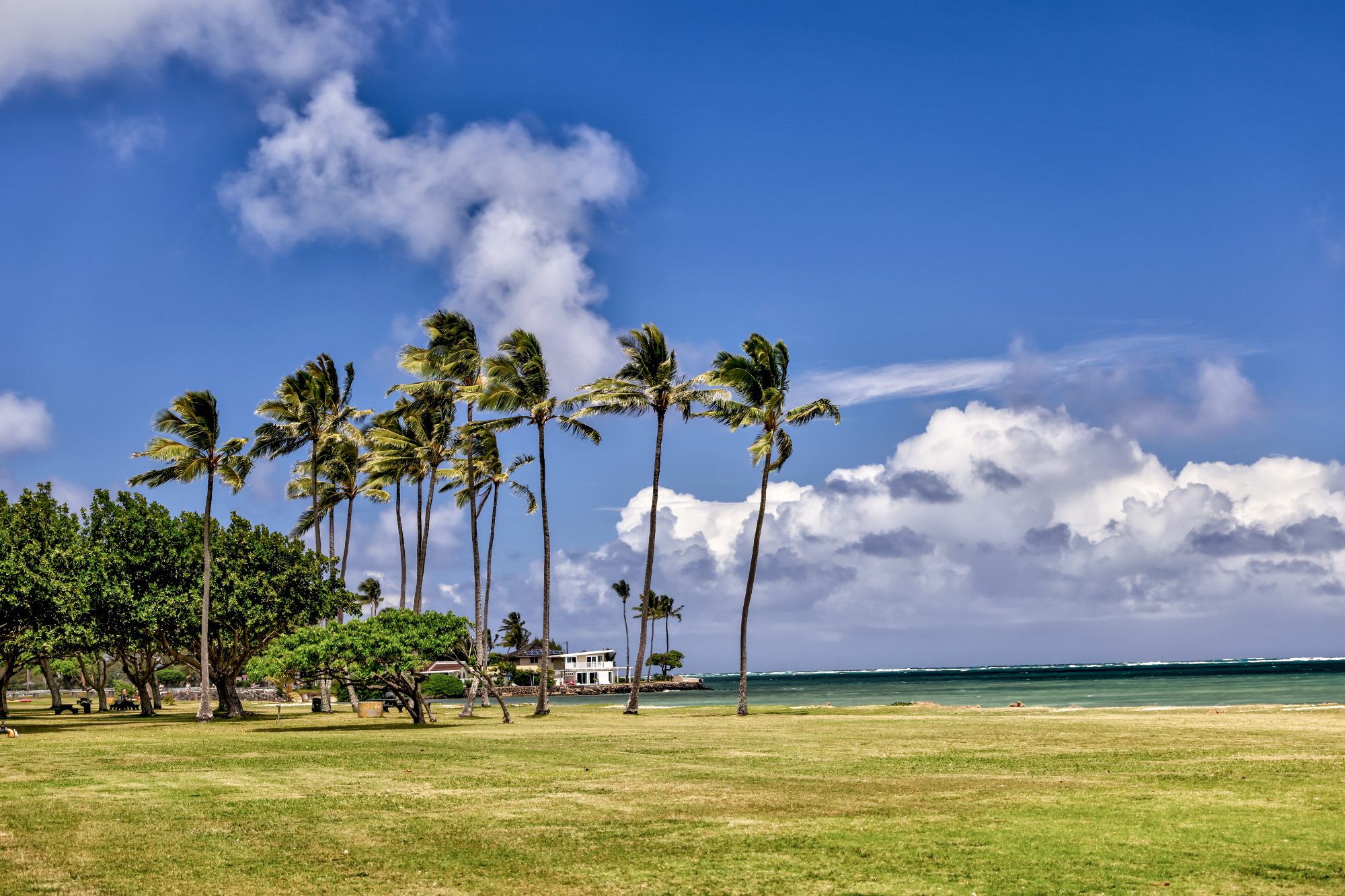 best places to propose in hawaii