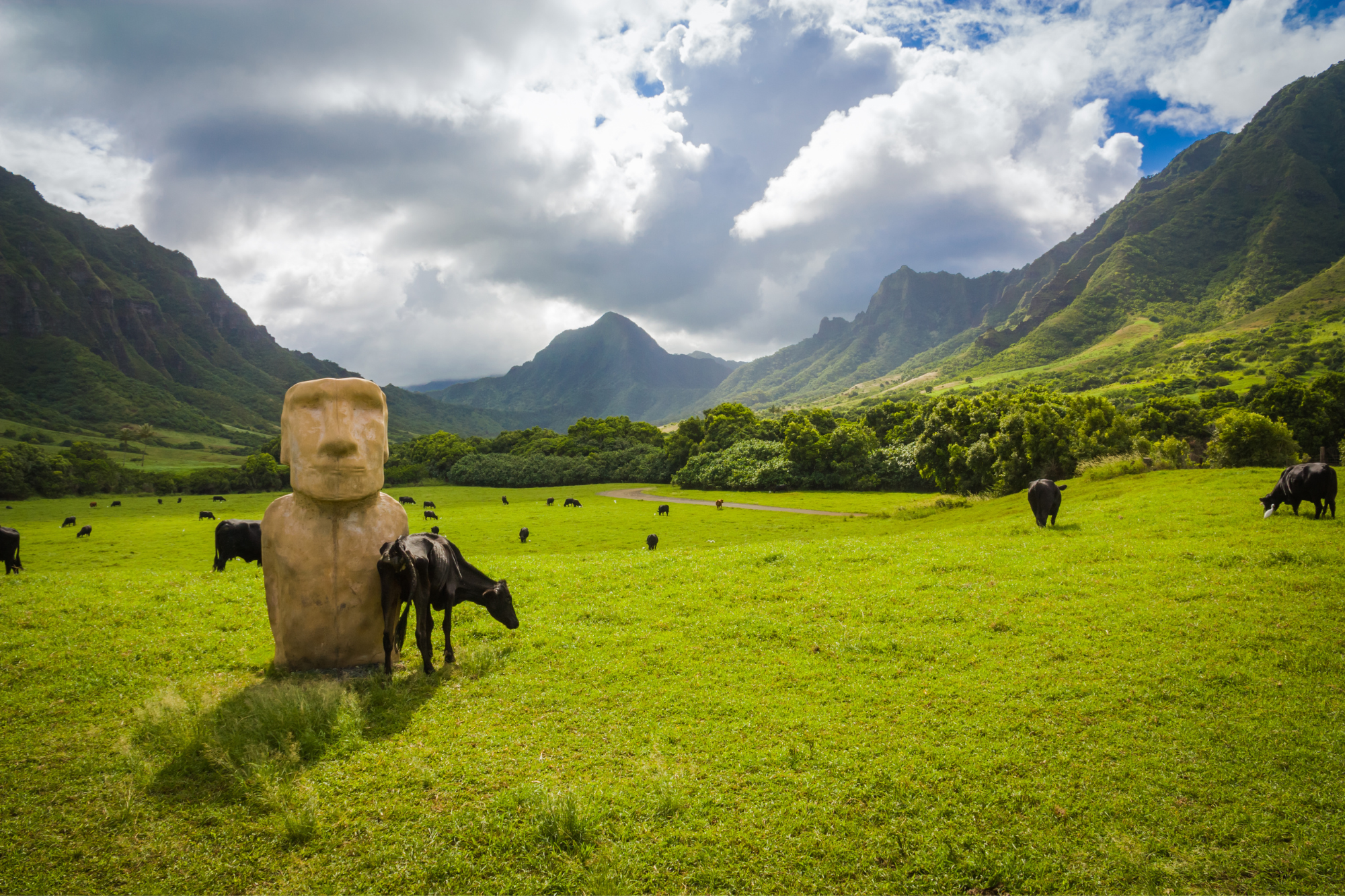 Wai'anapanapa State Park