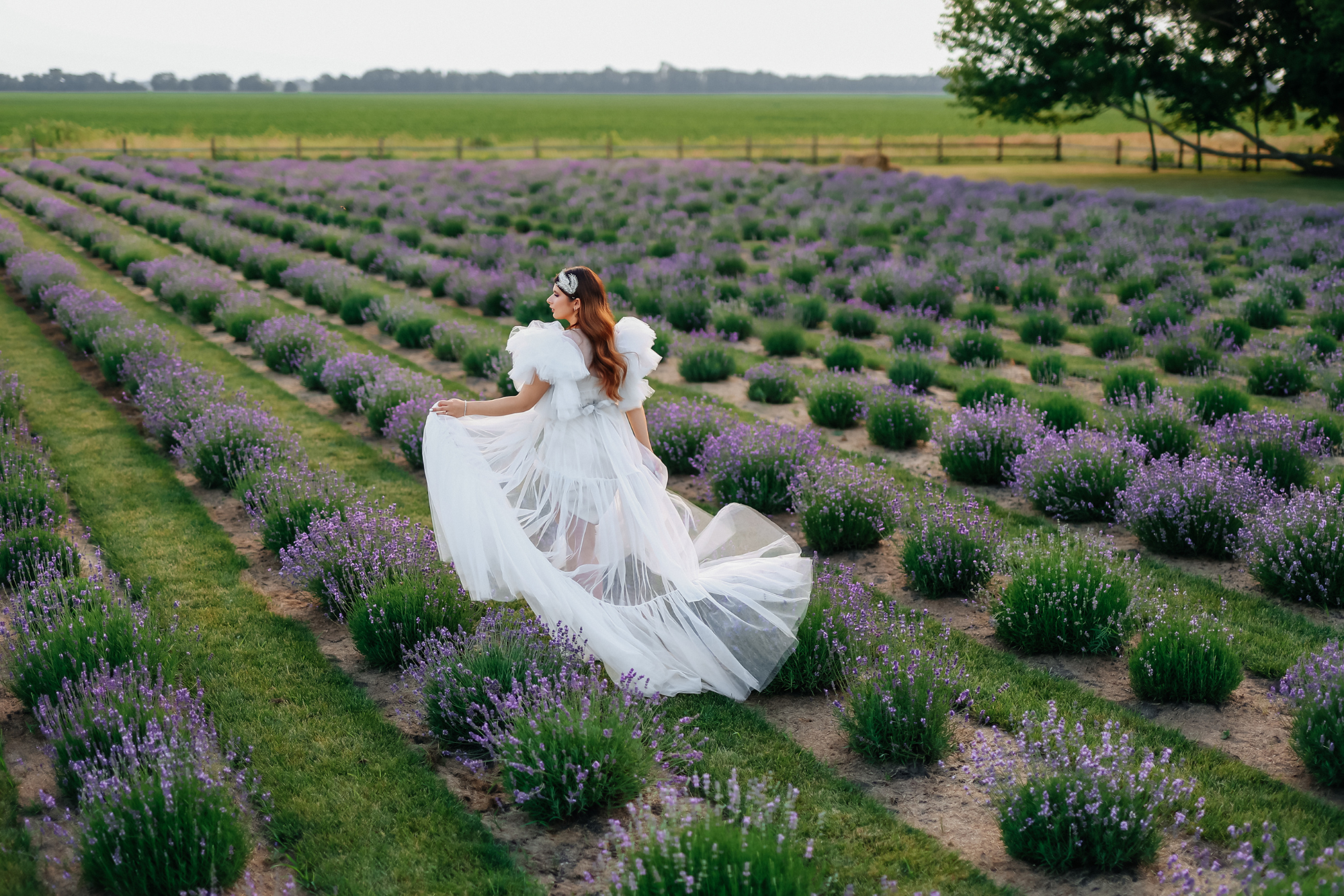 Bridgerton Style Dresses