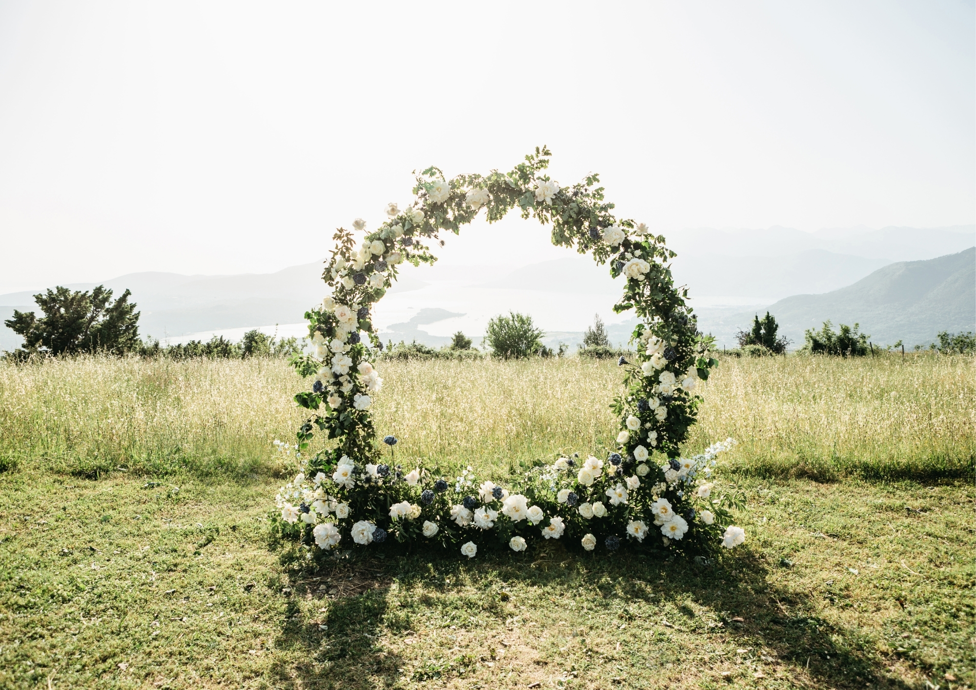 Photoshoot with Roses: Color Coordination, Poses & Tips from PRO Photographers