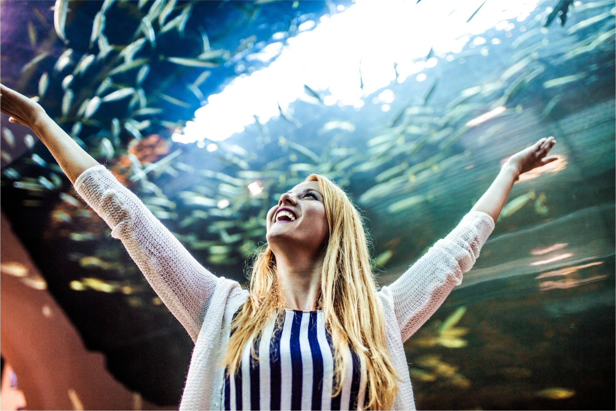 Santa Monica Pier in Photos: California's Coastline Captured by Local Photographers
