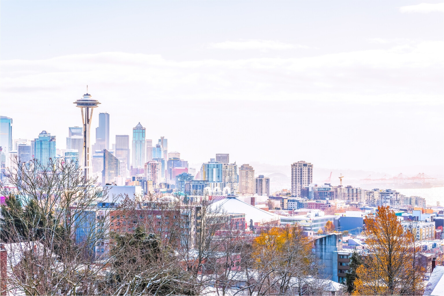 20 Things to Do in Seattle in November - Localgrapher