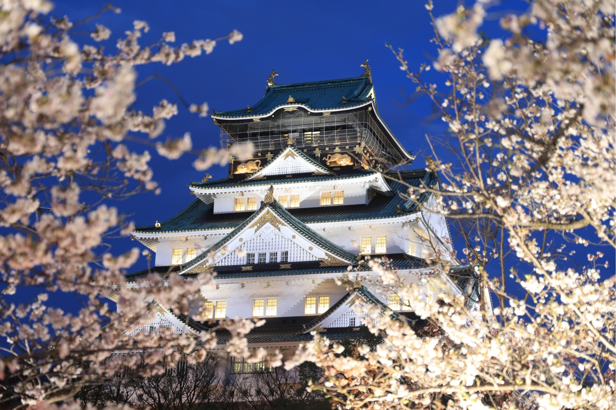 Your Complete Osaka Photoshoot Guide (2026)