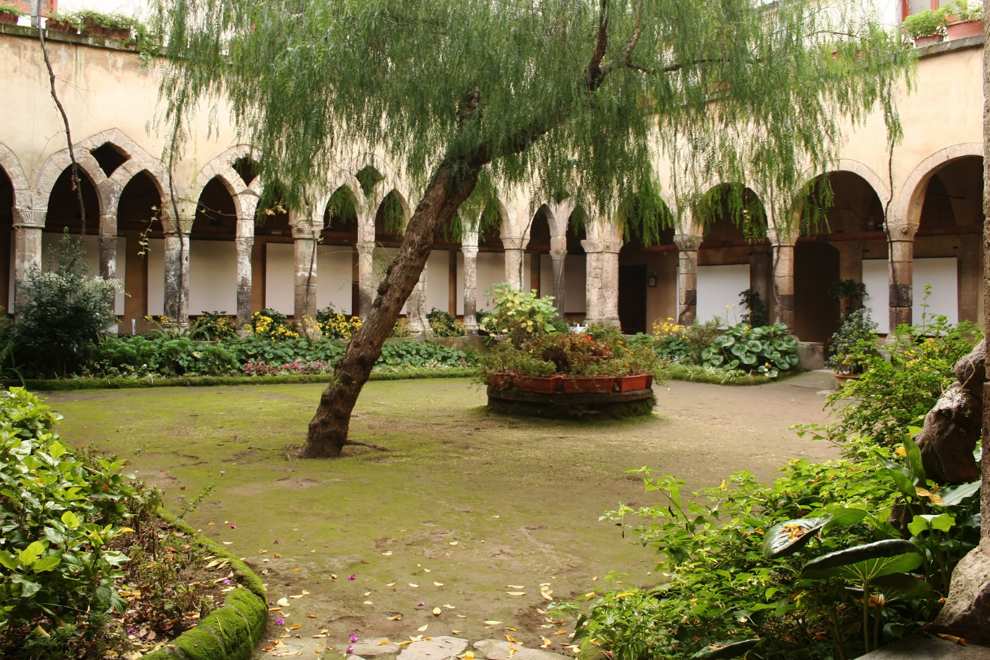 San Francesco Cloister in Sorrento photo spot