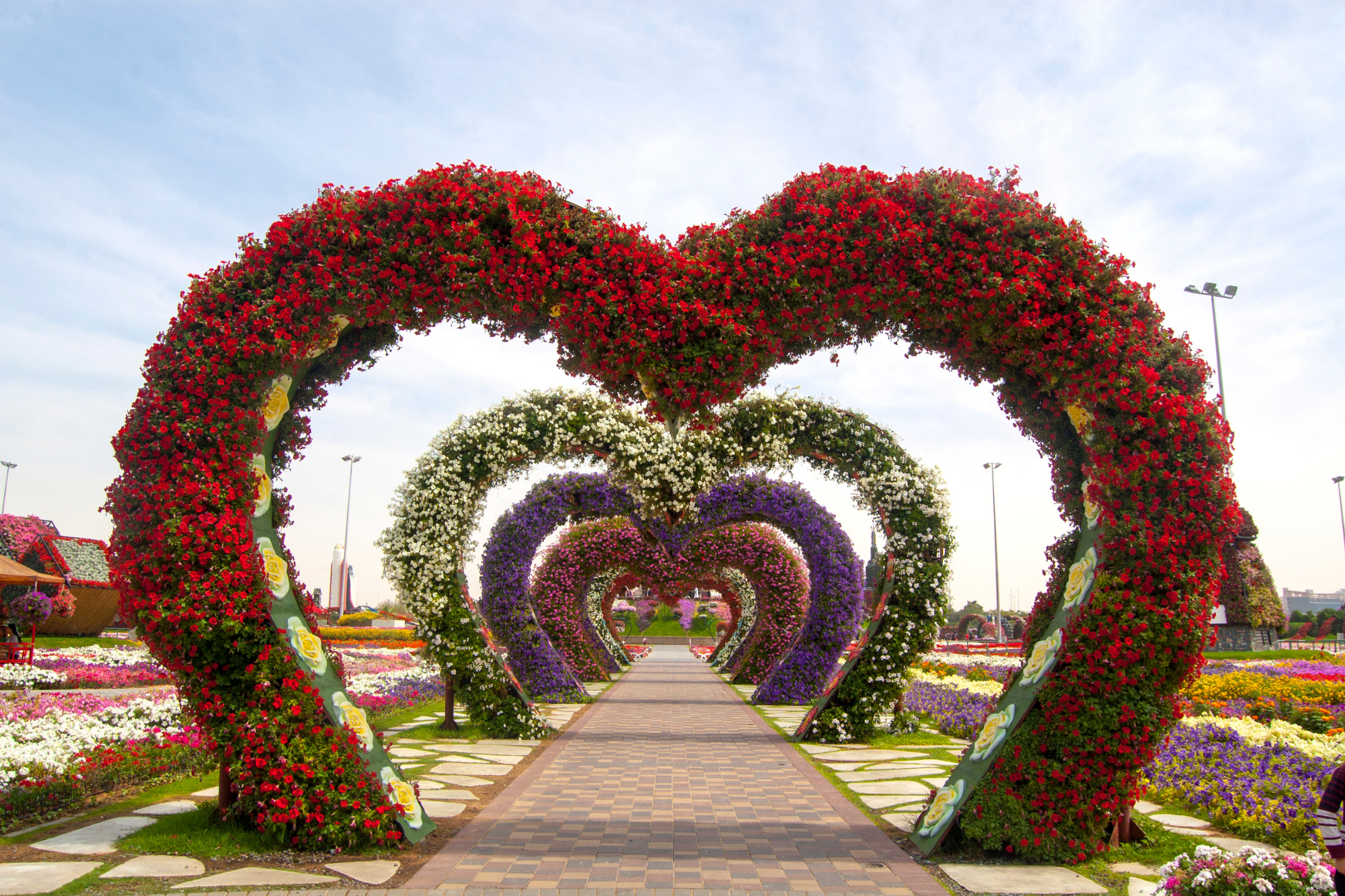 Miracle Garden, Dubai, United Arab Emirate,