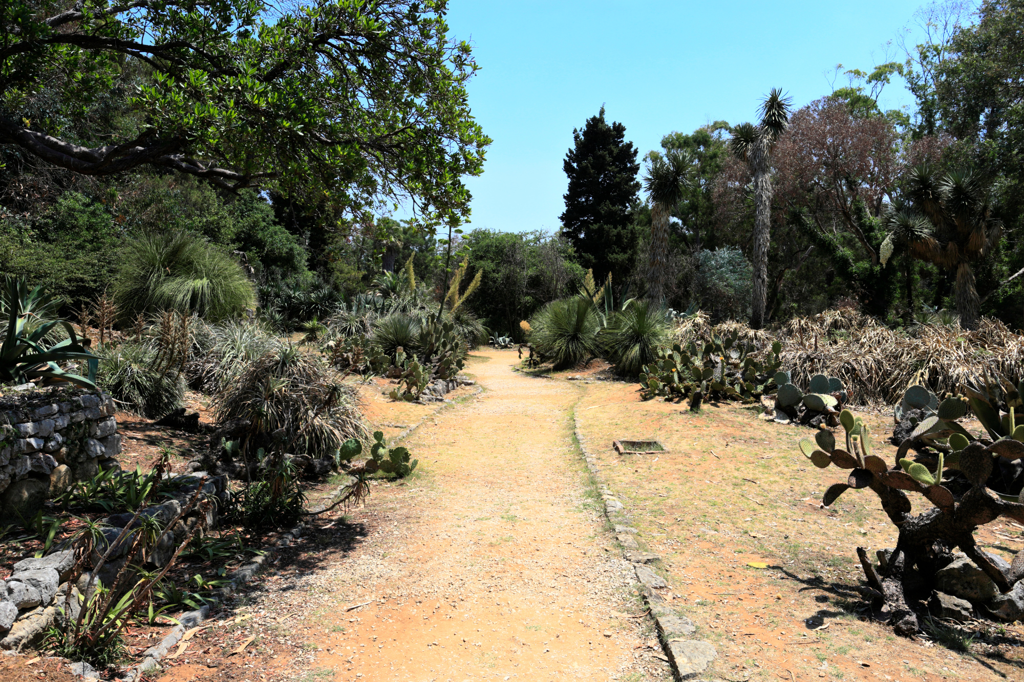 Lokrum Island Botanical Gardens Dubrovnik